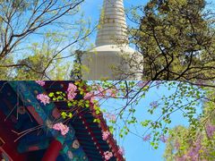 -沉浸北京·团建旅行·密室剧本杀·年会会议轰趴拓展