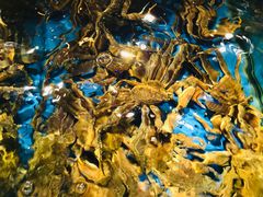 -蟹之国·精品蟹料理(极地店)