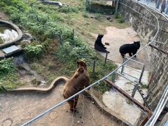 -无锡动物园·太湖欢乐园
