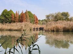 -沙家浜风景区