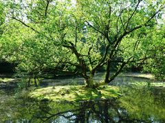 -柳莺湖上·湖景餐厅·江南菜(西湖店)
