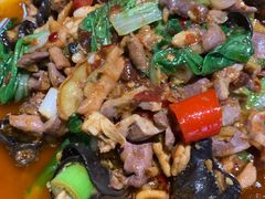 -青城甲(青城山店)