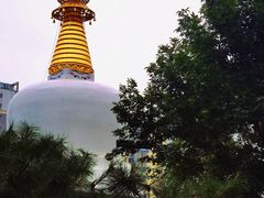 -护国法轮寺