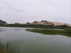 -玉龙沙湖景区