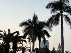 -厦门白鹭洲公园