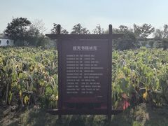 -商丘古城-应天书院