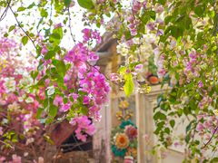 -深圳国际园林花卉博览园