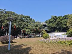 -荔湾湖公园