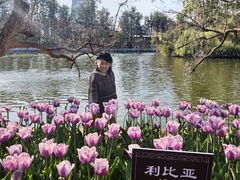 -翠湖公园
