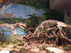 -自贡恐龙博物馆