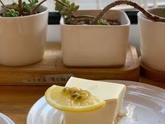 -Cafe Villa