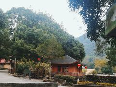 -逍遥谷景区