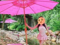 -南海湾森林生态园