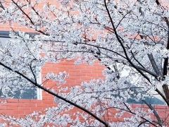 -上海市格致初级中学