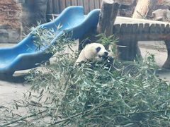 -石家庄市动物园