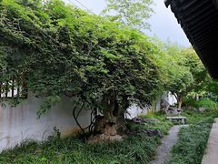 -常熟方塔园