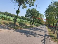 -嘉北郊野公园