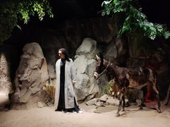 -西安电影制片厂