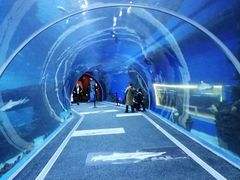 -成都浩海立方海洋公园