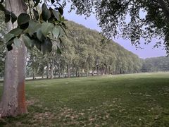 -河南省黄河迎宾馆