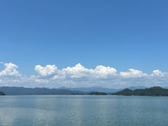 -浔味·山屿湖·正宗淳牌全鱼宴老字号