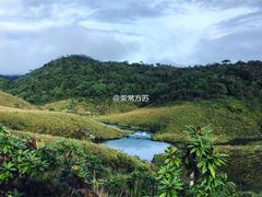 -霍顿平原国家公园