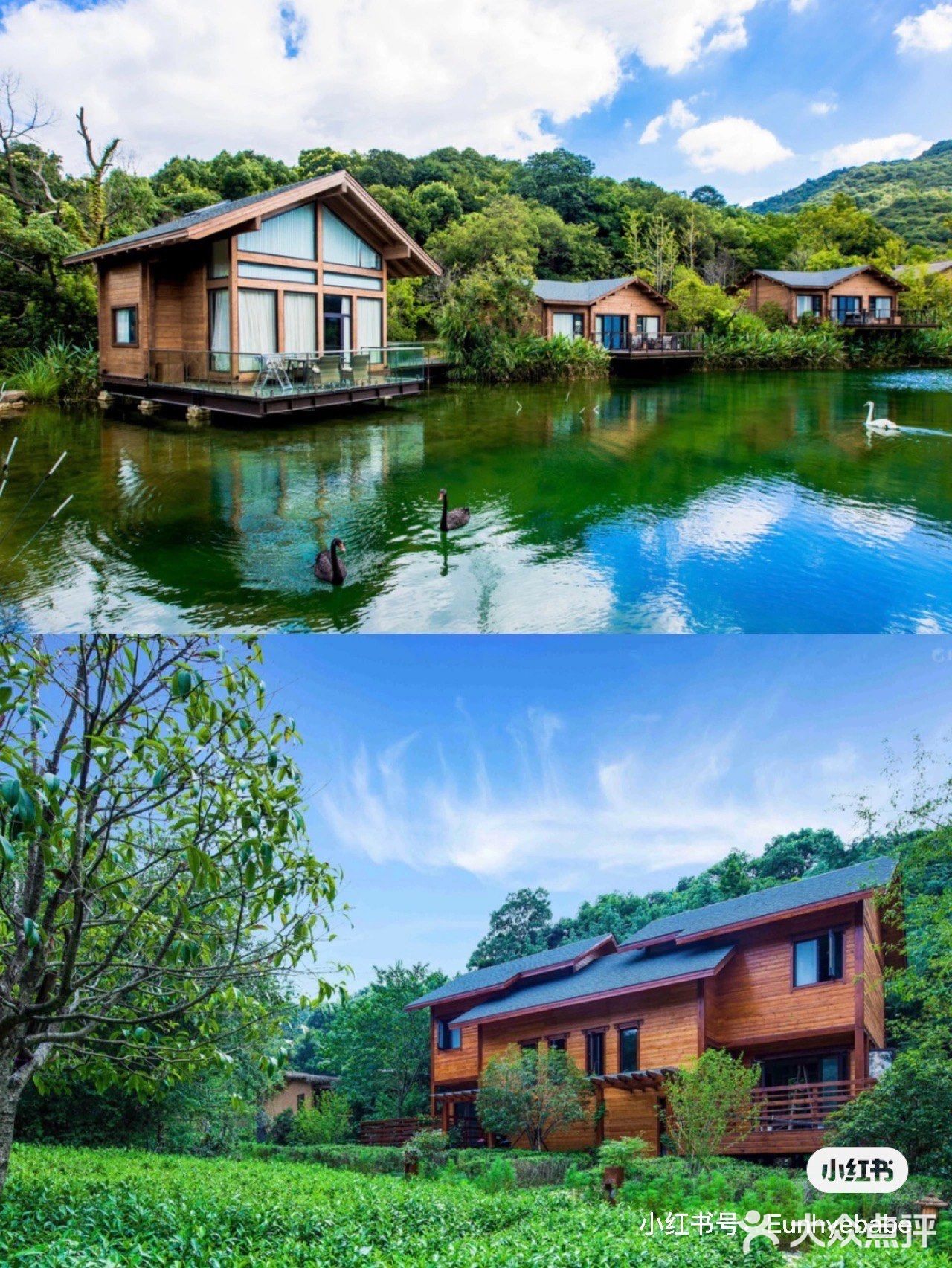 住不腻的树屋酒店