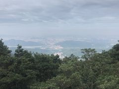 -梧桐山风景名胜区