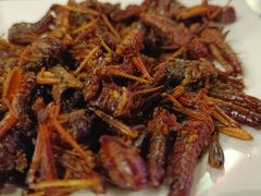 -嘚色烧烤（东北烤串）(石溪店)