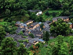 -杨家堂村