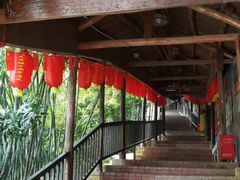 -鲤鱼塘农家山庄