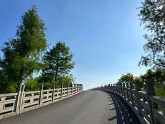 -广富林郊野公园