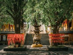 -南山风景名胜区