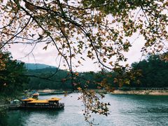 -广州市流溪河国家森林公园
