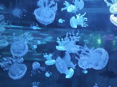 -广州海洋馆