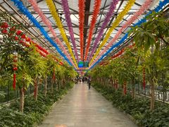 -南宫五洲植物乐园