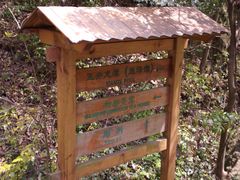 -宁波五龙潭景区