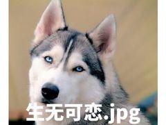 -湘约爨厨(太白立交店)