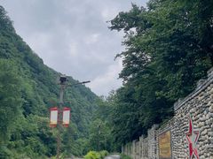 -黑河国家森林公园