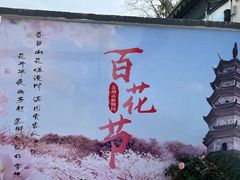 -苏州上方山国家森林公园