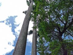 -剥皮寮历史街区