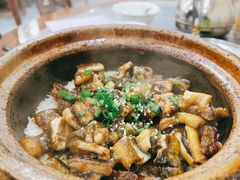 -红星光发煲仔饭(大石街店)