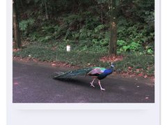 -宁波野生动物园