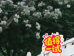 -月湖风景区
