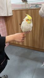 -Moni星球萌宠·小马宝莉·灵蛇·高端高阶全萌宠互动体验俱乐部(红豆国际广场店)