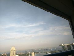 -新加坡瑞士史丹福酒店