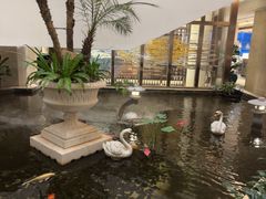 -白天鹅宾馆·月兔吧