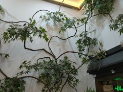 -耳艺采耳·足疗·按摩SPA(市桥店)