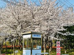 -外高桥保税区南(地铁站)