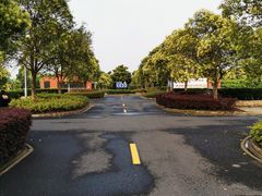 -上海欢乐谷-停车场